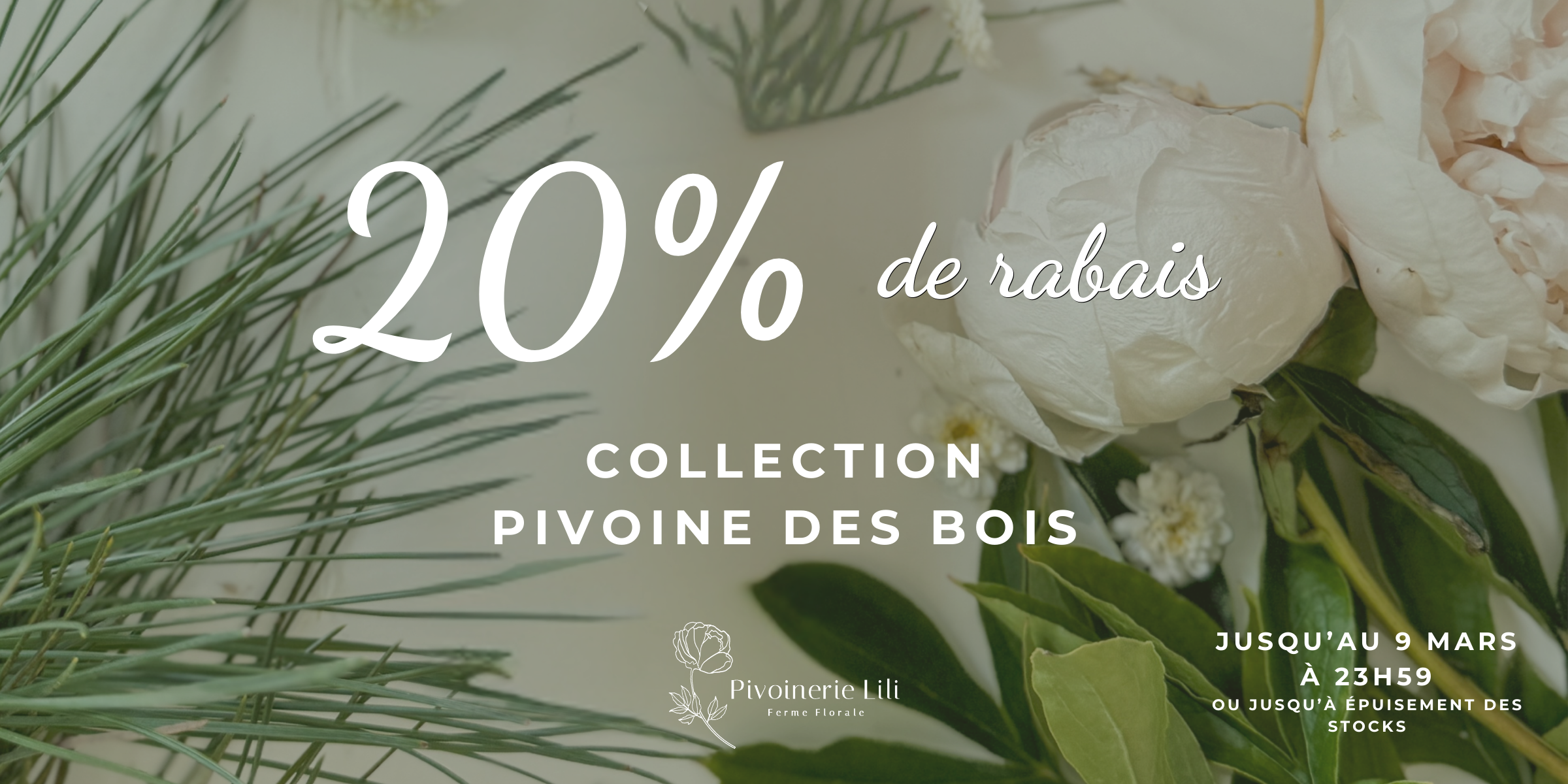 Pivoinerie Lili - Pivoine des bois - ferme florale et cosmétiques